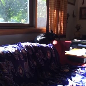 Meet your Posher, Mark